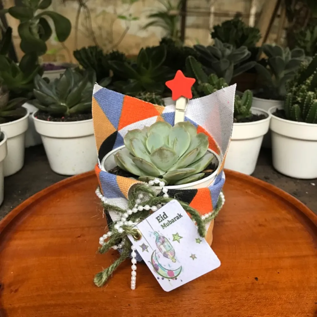 Eco-friendly Eid hampers with potted succulents, herb gardens, and custom-printed accessories like pots and wraps.